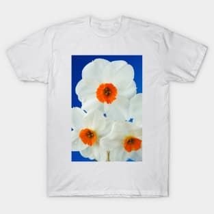 Narcissus  'Geranium'  AGM  Daffodil  Div. 8 Tazetta T-Shirt